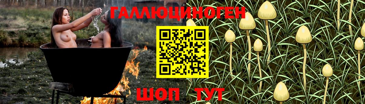 Псилоцибиновые грибы мицелий Курск