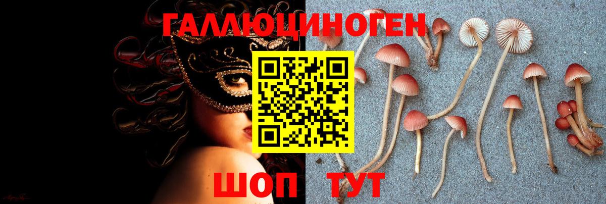 Галлюциногенные грибы Psilocybe  закладки  Курск  Вход с VPN 
